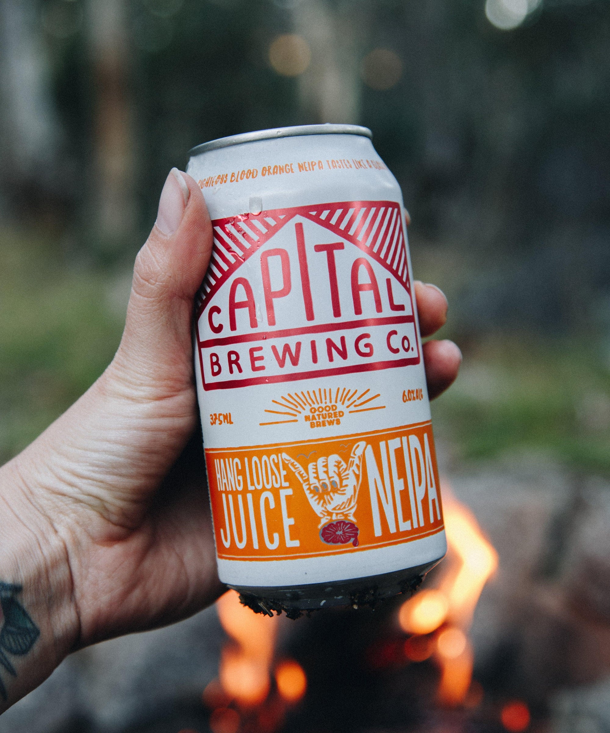 Heaps Normal Capital NEIPA Review