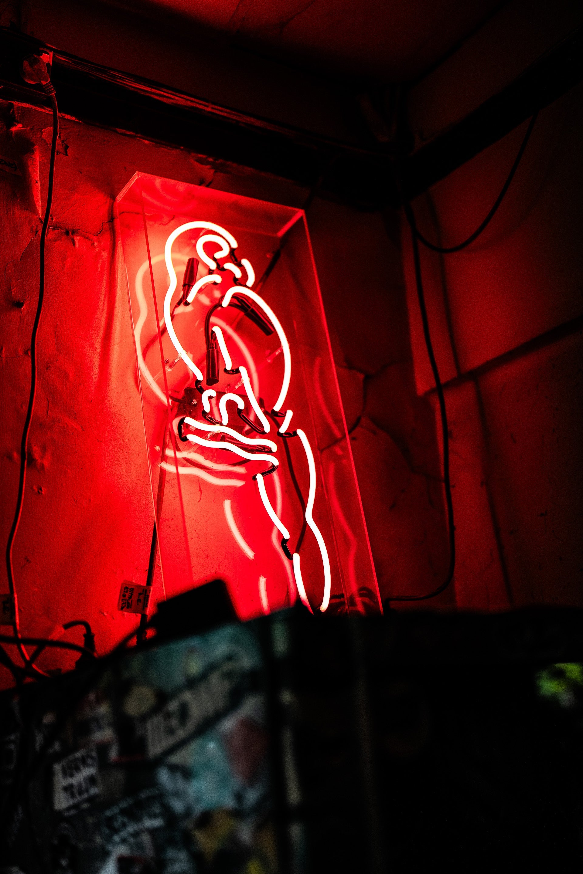 202401_UnderTheBar_THECRIX-38