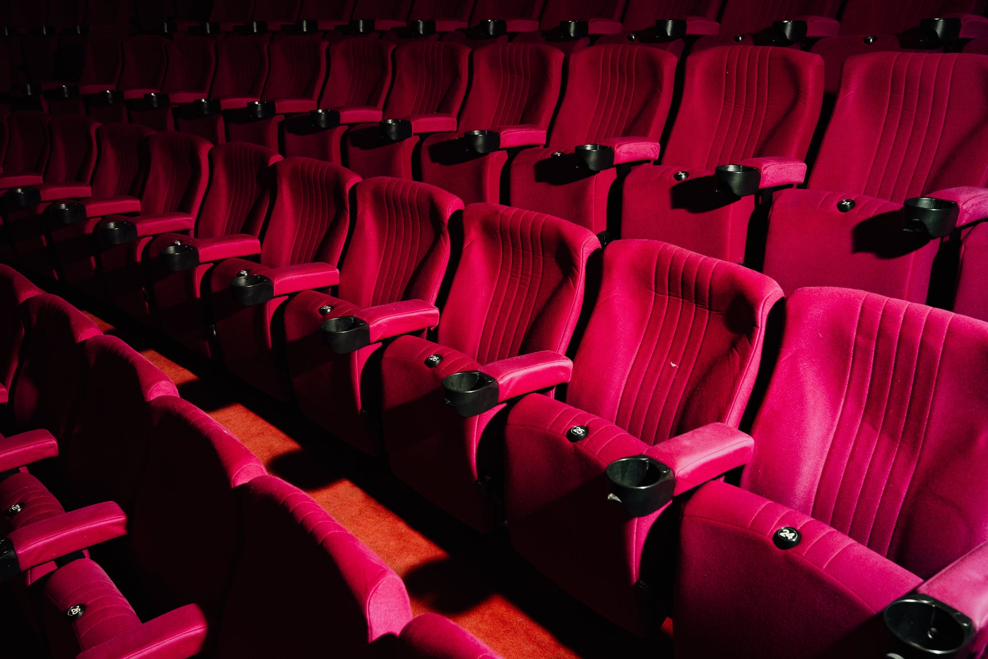 YH_HN_TheOrpheum_WEB_-66